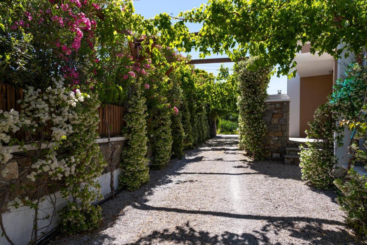 Horizon Line Villas Kiotari Dış mekan fotoğraf