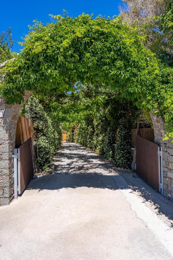 Horizon Line Villas Kiotari Dış mekan fotoğraf