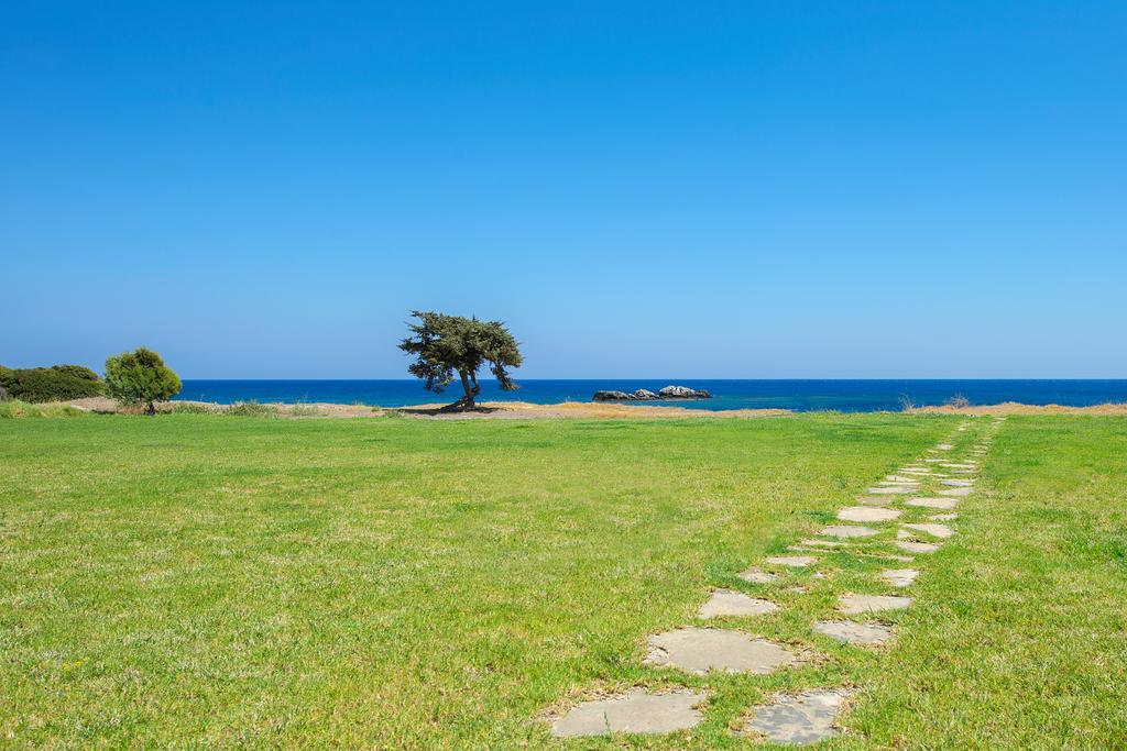 Horizon Line Villas Kiotari Dış mekan fotoğraf